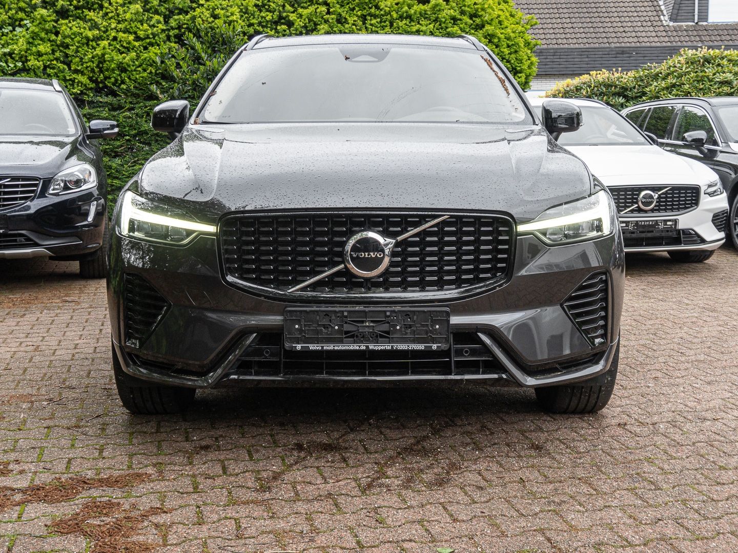 Volvo XC60 Plus Dark 2WD Digitales Cockpit Memory Sitz imagem 3