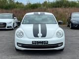 Volkswagen Beetle Lim. Sport  NAVI+SHZ - Volkswagen Beetle: Weiß