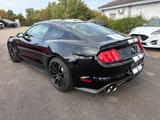 Ford Mustang Shelby GT 350+Technology-Pckg. - Ford Mustang: Gt350