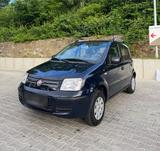 Fiat Panda 169 Dynamic mit Klima/ TÜV 06.28 - Fiat Panda in Hagen