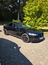 Jaguar XF 30D S 300PS Automatik S - Jaguar: X300