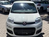 Fiat Panda Pop Scheckheft*Klima*Servo City*Tüv Au Neu - Fiat Panda: Weiß