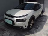 Citroën Citroen C4 Cactus - EZ 2020, 59.000 km - Citroën C4 Cactus aus 2020