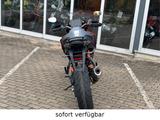KTM 1290 Super Duke GT 2024 inkl. 4 Jahre Garantie - KTM DUKE