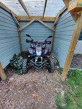 Bashan BS200S7 - BASHAN QUAD