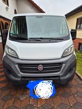Fiat Ducato/Kühlfahrzeug - Kühlfahrzeug gebraucht