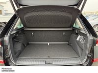 Skoda Kamiq - Vorschau Bild 8