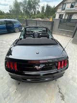 Ford  FORD MUSTANG CABRIO 2.3 ECOBOOST 310 KM - Ford Mustang: For