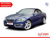 BMW 220i Luxury Line Navi Totwinkel Leder Keyless-Go - BMW 220