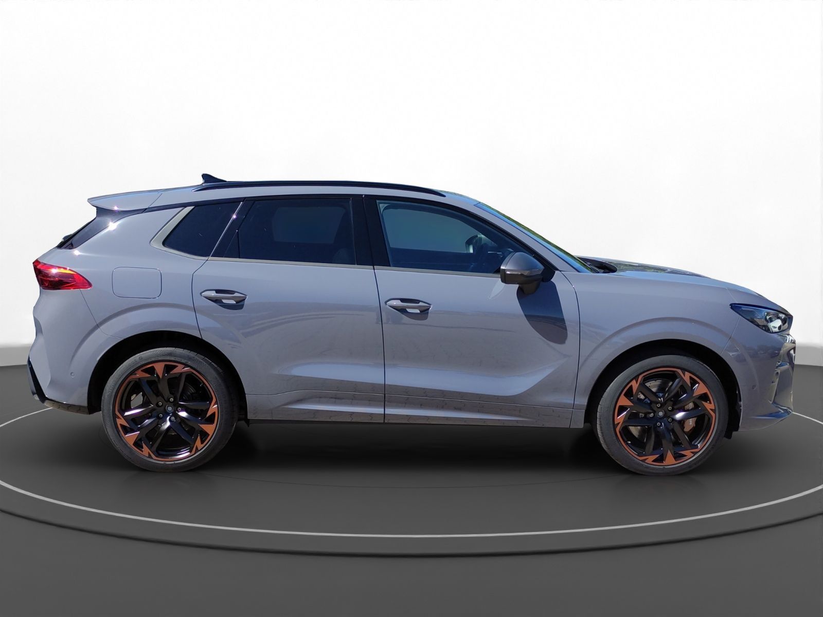 Cupra Terramar - Bild 6