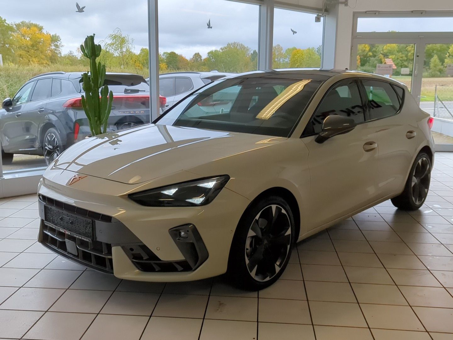 CUPRA Leon 1.5 eTSI Sennh. Matrix Pano Edge/Dynamic - Image 3