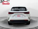Lexus NX 350h E-FOUR Luxury Line *PANO* Mark Levinson - Lexus NX Luxury-Line