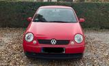 Volkswagen Lupo 1.0 Oxford  - Volkswagen Lupo: Rot