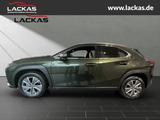 Lexus UX 300e *EXECUTIVE*SOFORT*FACELIFT*15JH-GARANTIE - gebrauchte Lexus Pickups