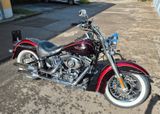 Harley-Davidson Softail Deluxe  - Offers matching your search criteria