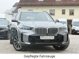 BMW X5 xDrive30d M-Sport 20"MShadow ACC AHK 360° H&K - BMW X5 Jahreswagen
