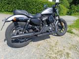Harley-Davidson Iron 883 Sportster Charcoal Denim - Offers matching your search criteria