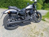 Harley-Davidson Iron 883 Sportster Charcoal Denim - Offers matching your search criteria