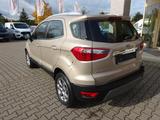 Ford EcoSport 125PS Autm. Titanium Navi Winter B&O - mit Benzin-Antrieb: Beige, Kleinwagen