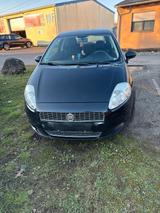 Fiat Punto 2009 Baujahr TÜV bis 2027 Februar - Fiat Punto in Leverkusen