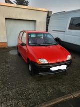 Fiat Seicento Young Young  - Fiat Seicento aus 1999