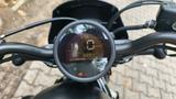 Honda HONDA REBEL CMX 500 2022 SE - wenige Kilometer - CHOPPER VON 251 BIS 500 CCM