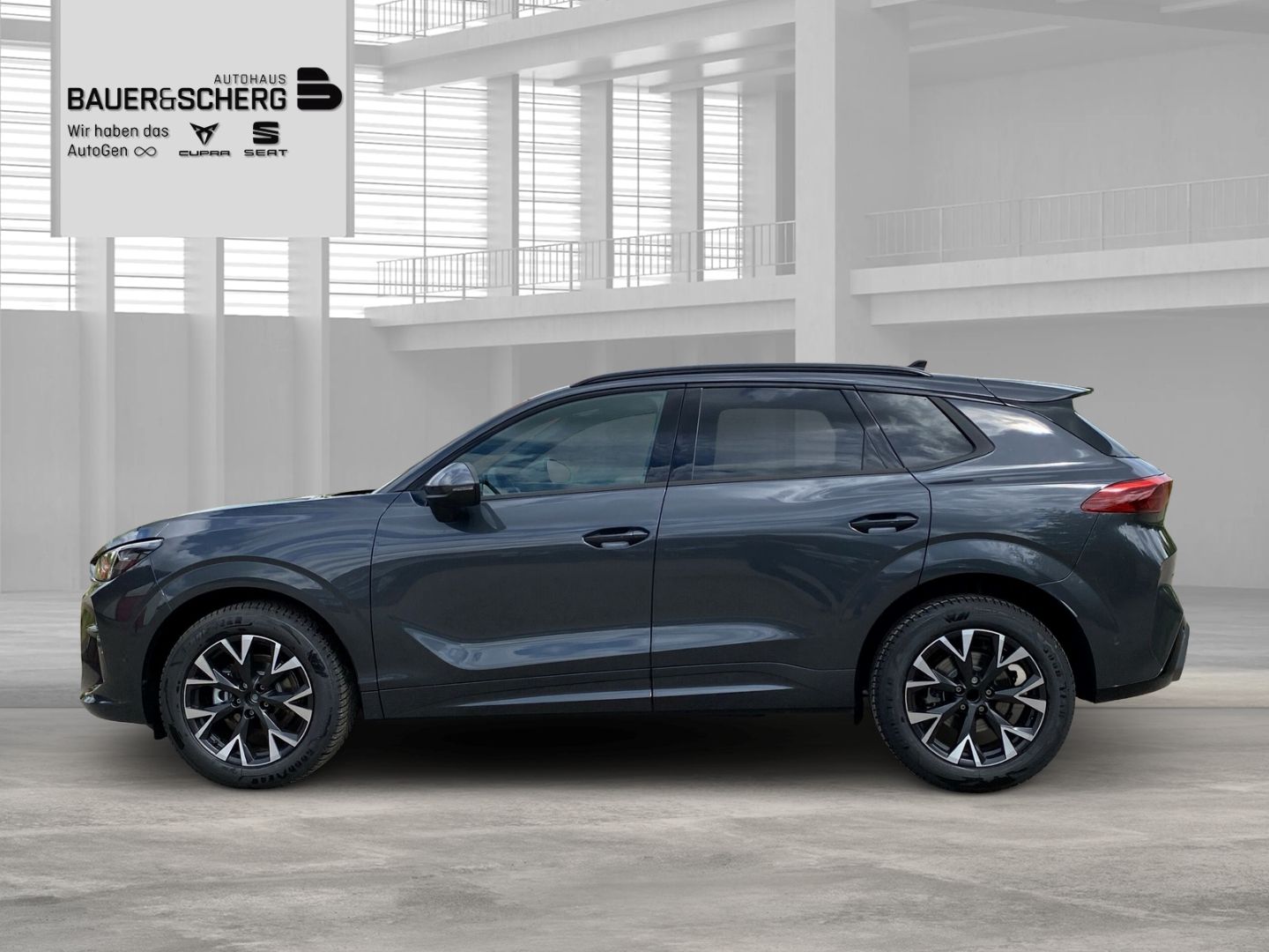 Cupra Terramar - Bild 2