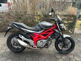 Suzuki Gladius 650 - Suzuki Motorräder in München