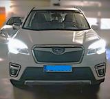 Subaru Forester 2.0ie Mild-Hybrid Platinium e-boxer - weiße Subaru Forester