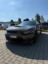 Dodge Charger 6.4l V8 - Dodge Charger aus 2021