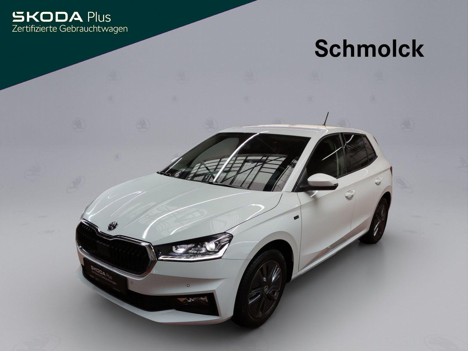 Skoda Fabia Tour 1.0 TSI DSG RFK PDC NAVI GRA DAB