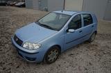 Fiat Punto 1.2 8V Dynamic |8-fach bereift| |Klima| - Fiat Punto: Dynamic