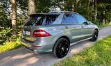 Mercedes-Benz ML 350 4MATIC designo, AHK 3.5to, Luft-FW, 21"  - Mercedes-Benz ML-Class: Geländewagen
