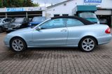 Mercedes-Benz CLK 500 V8 Cabrio Aut Leder Navi Memory SHZ H/K - Mercedes-Benz CLK 500 aus 2004