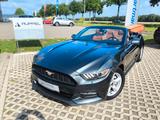 Ford Mustang 3,7L V6 Leder Xenon BULLETGRÜN - Ford Mustang: V6