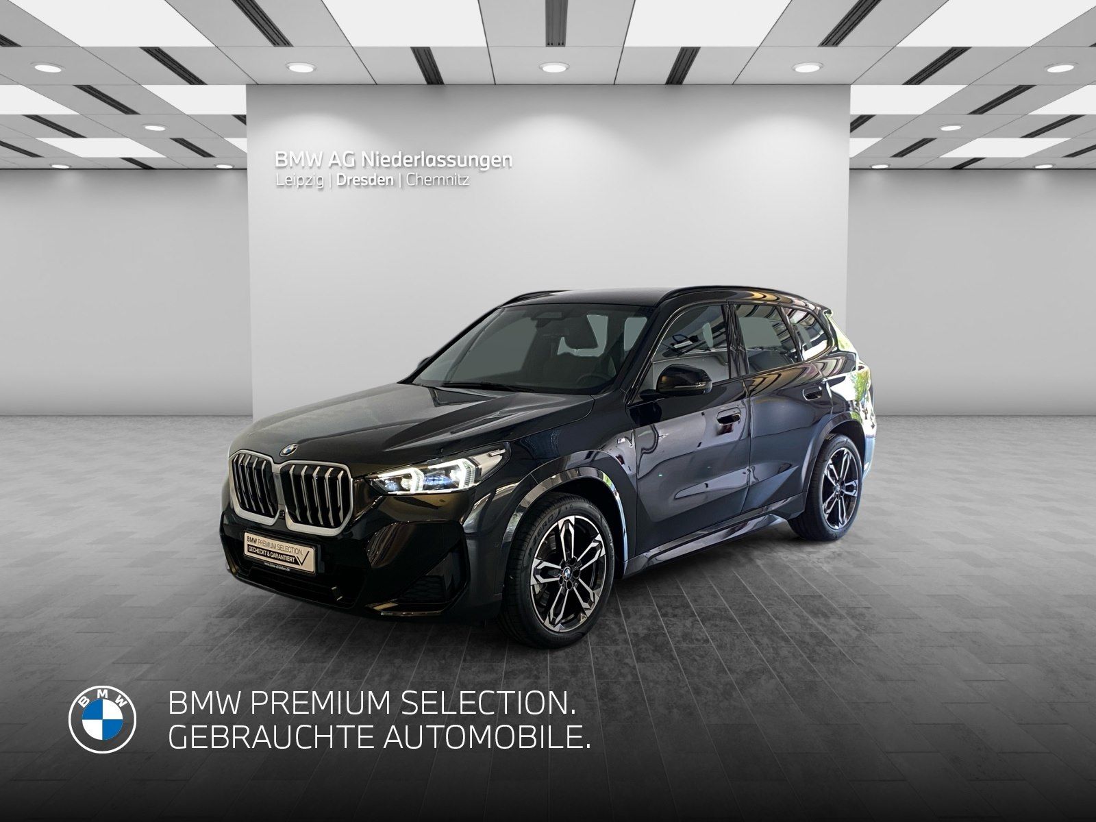BMW X1 sDrive20i M Sport Driv.Assist.Prof Harman/K