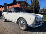 Alfa Romeo Giulia Spider - Alfa Romeo Giulia: Cabrio