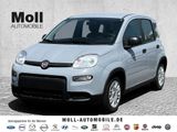 Fiat Panda Hybrid Tech Paket, Radio, Klima, Multifunk - Fiat