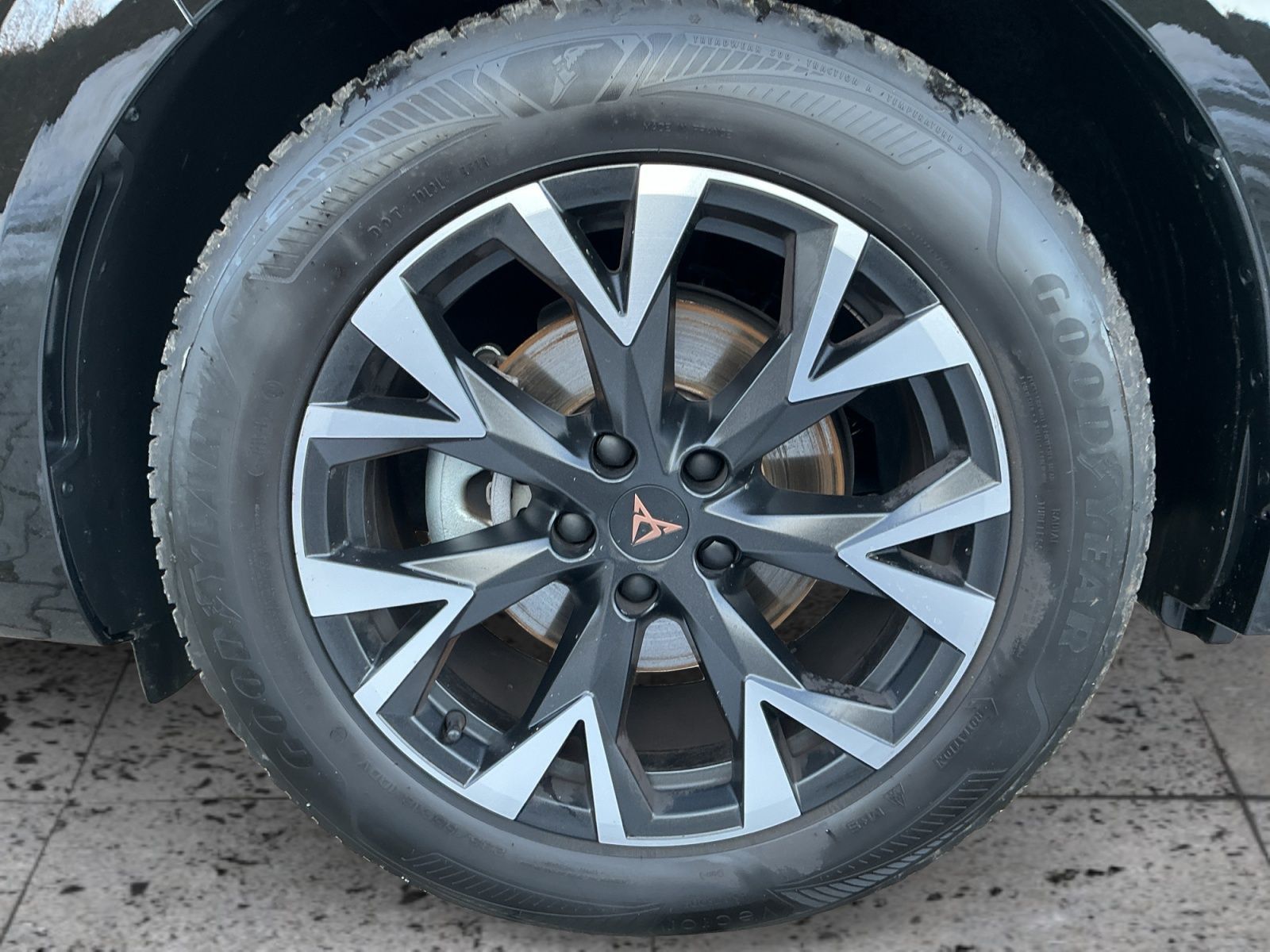 Cupra Terramar - Bild 8