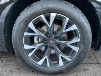 Cupra Terramar - Vorschau Bild 8