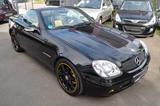 Mercedes-Benz SLK 230 Kompressor "Special - SCHWARZ-GELB" - Mercedes-Benz SLK-Class aus 2000