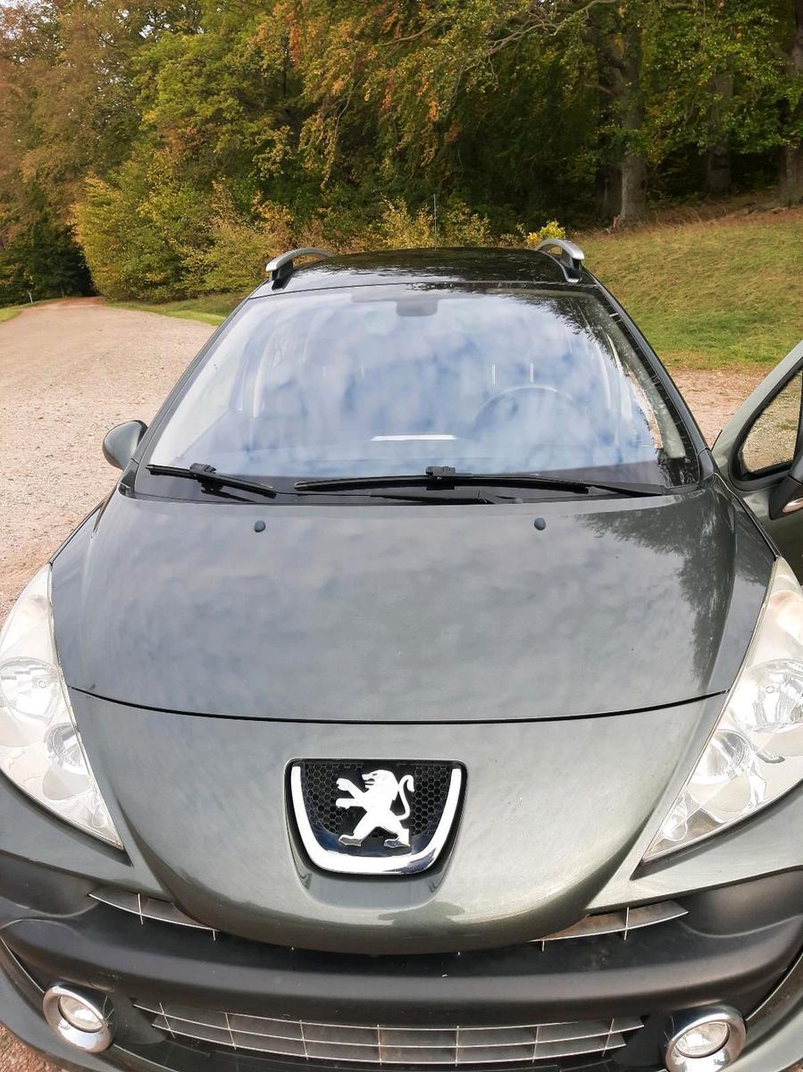 Peugeot 207 2009 — rear view