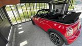 MINI Mini Cooper DS - MINI MINI: Cabrio, D
