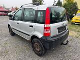 Fiat Panda 1.2 8V Trekking 4X4 - Fiat Panda TREKKING mit Benzin-Antrieb