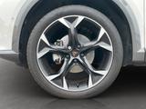 Cupra Formentor TSI DSG Navi Full Link Kamera SHZ - Cupra Formentor mit Benzin-Antrieb: Geländewagen