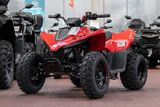 CFMOTO Cforce 110, Kinderquad, 45KM/H, sofort lieferbar - BENZIN QUAD KINDER