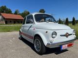 Fiat 500 - Fiat 500 aus 1969