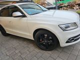 Audi SQ5 3.0 TDI quattro - Audi in Erlangen