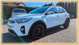 Kia Stonic 1.2 Vision 1.H RFK PDC SHZG LHZG WENIG KM - Kia Stonic aus 2017