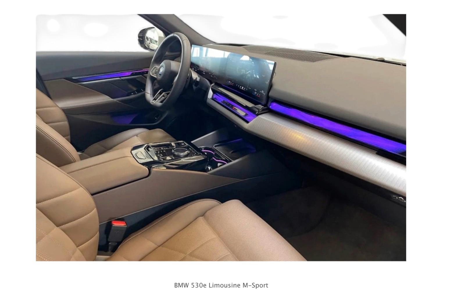 BMW 530e M Sport / PANO / AHK / HK / BRAUN LEDER